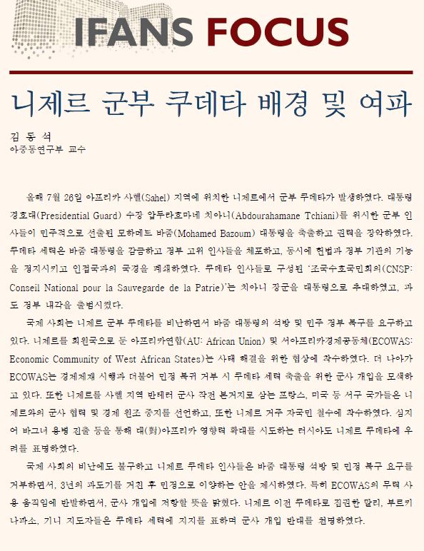 니제르 군부 쿠데타 배경 및 여파